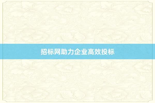 招标网助力企业高效投标